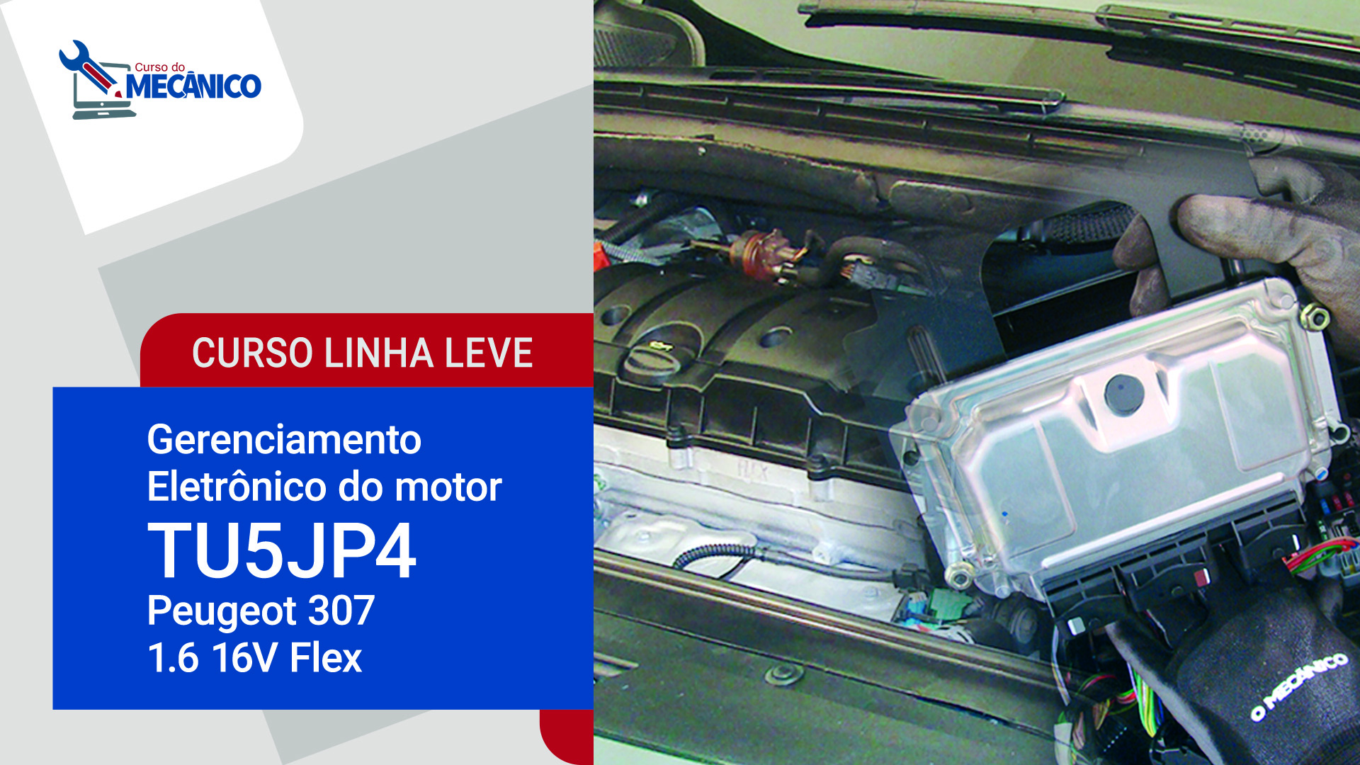 Gerenciamento Eletrnico do motor TU5JP4 - 1.6 16V Flex