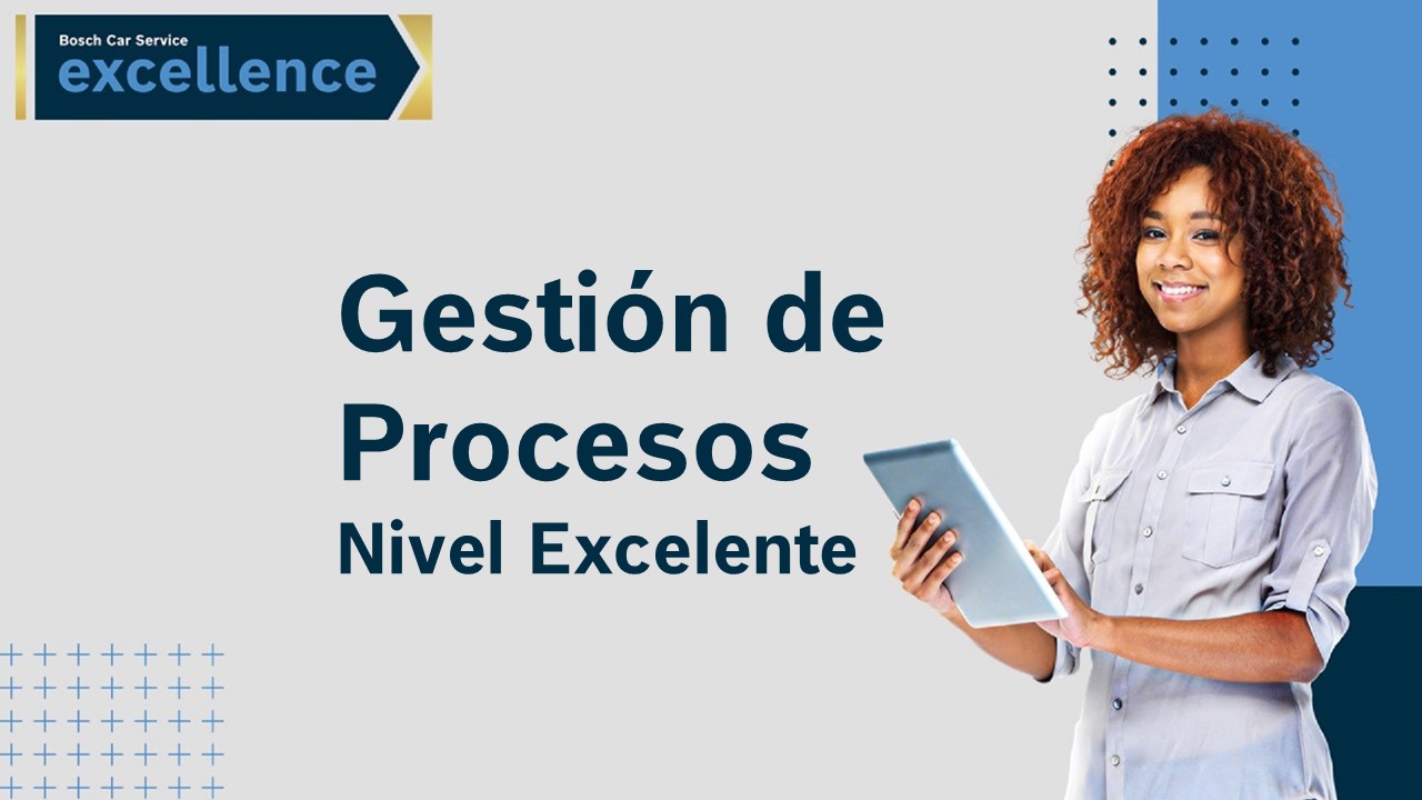 Gestin de Procesos - Nvel Excelencia